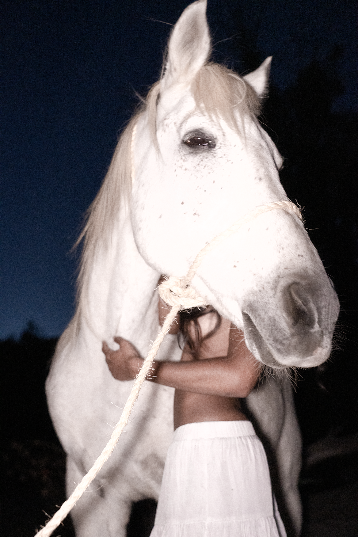 The white horse – 2025