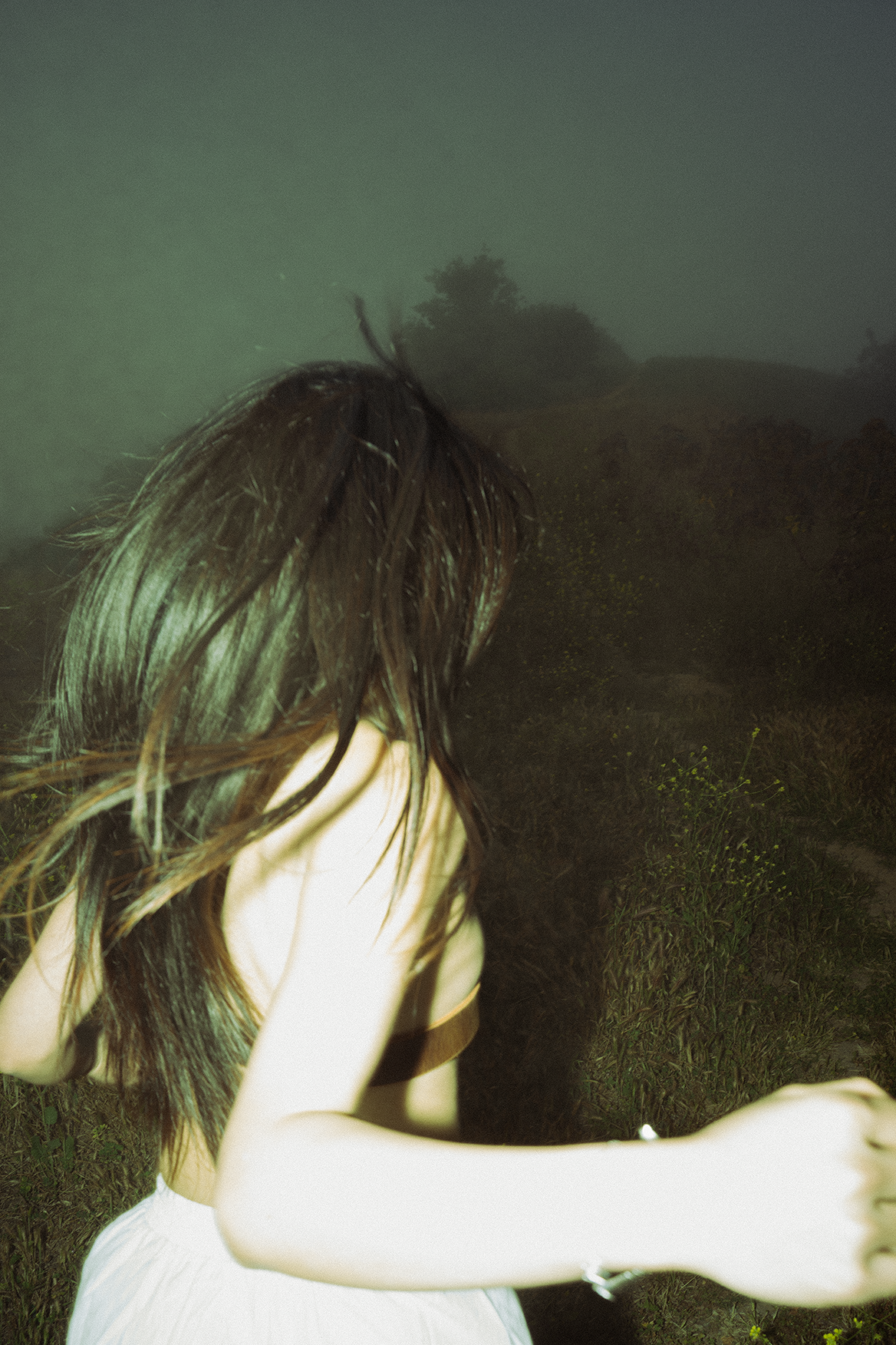 Misty mountain – 2024